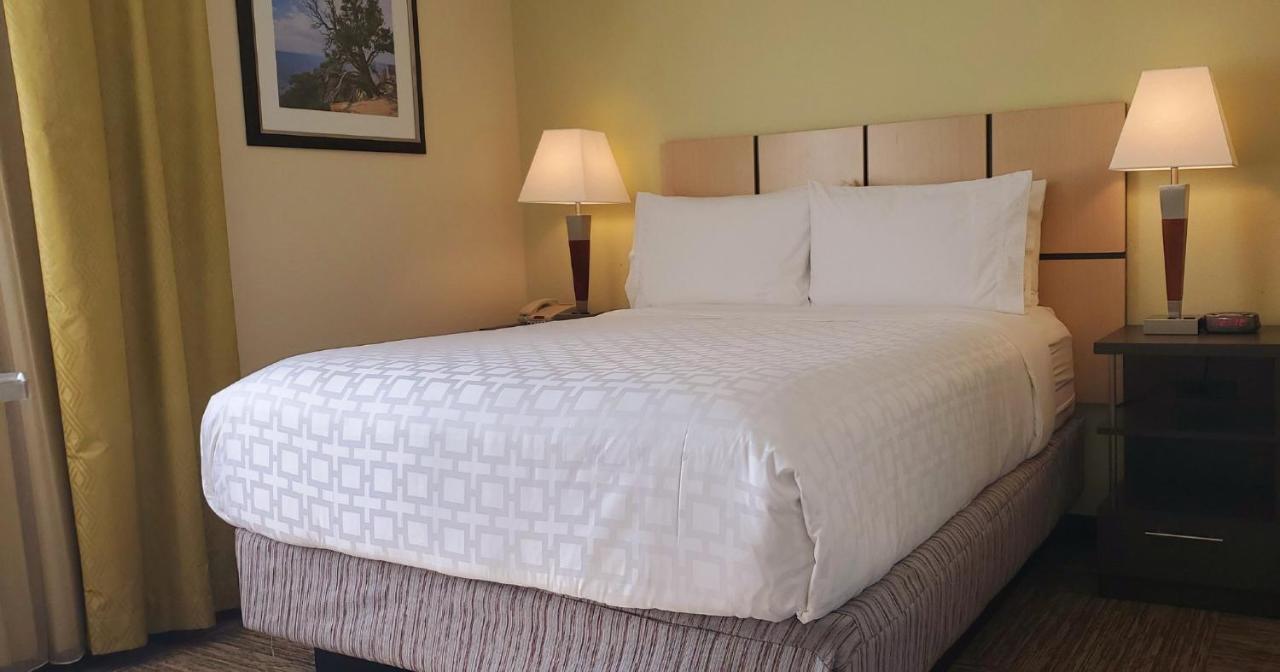 Candlewood Suites Houston Medical Center By Ihg Luaran gambar